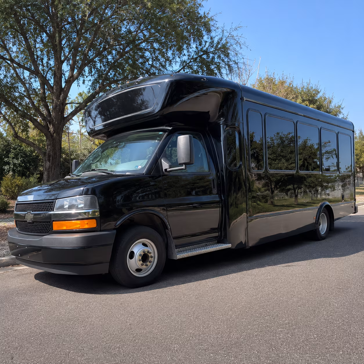 goodyears spring training scene at goodyear ballpark party bus rental