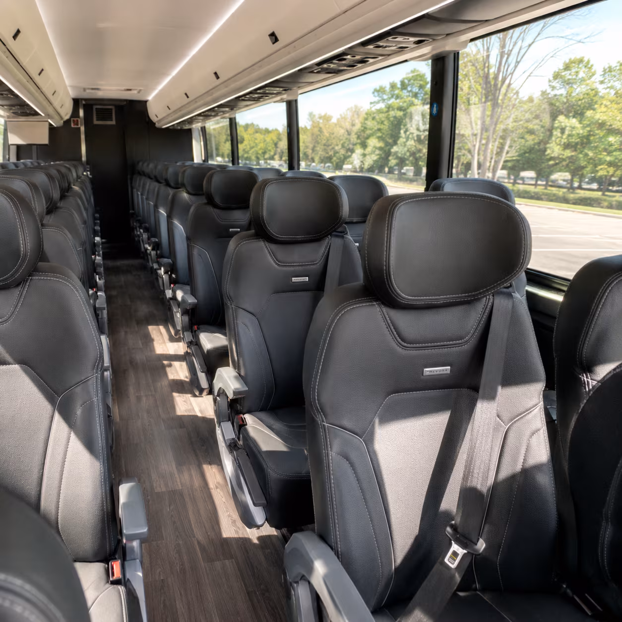 senior and accessibility friendly church buses in goodyear arizona